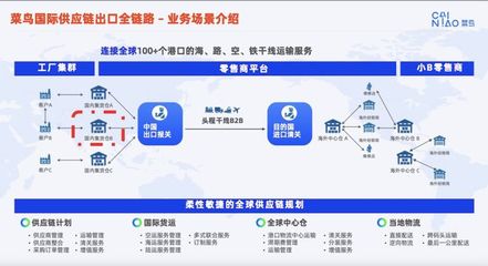 中国四大"出海隐形冠军"启示录
