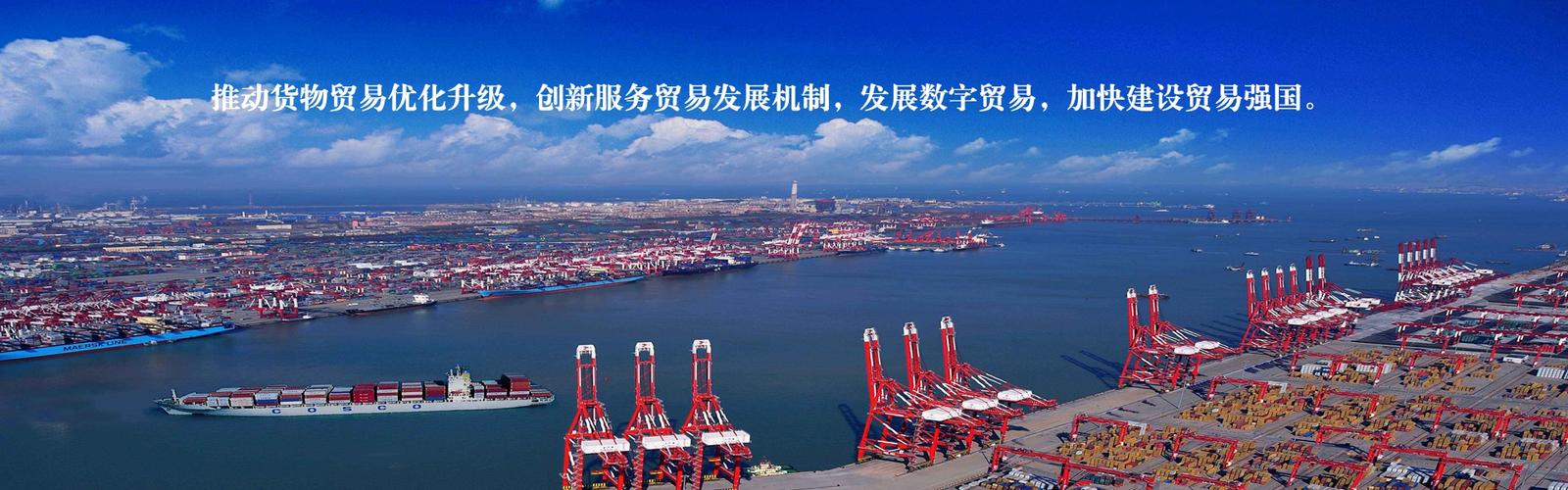 打造高端供应链,胶州市服务贸易乘数字化东风扬帆出海